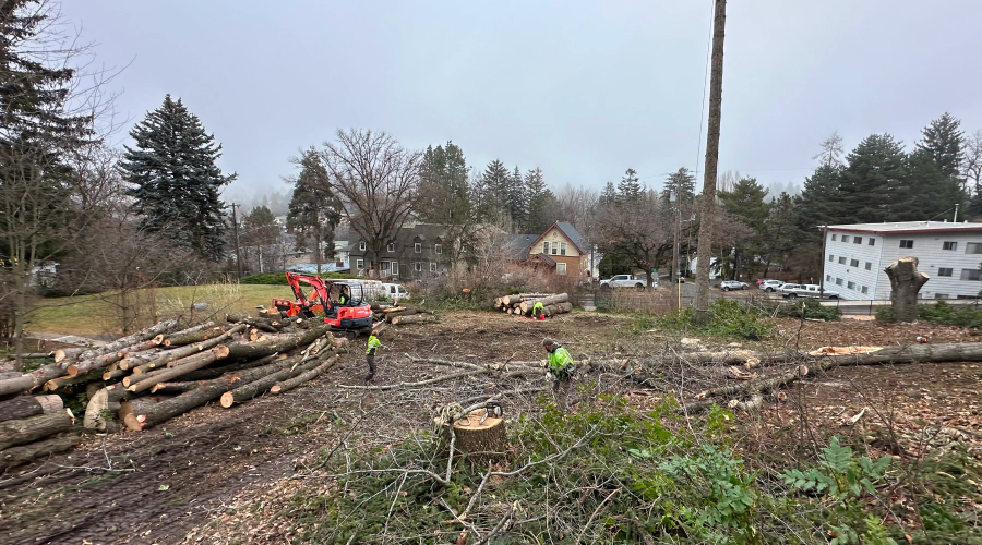 land clearing