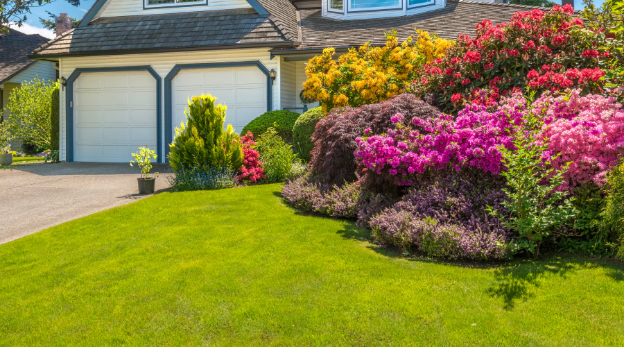 lawn maintenance