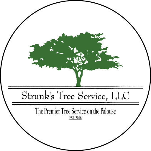 Strunk Final Logo