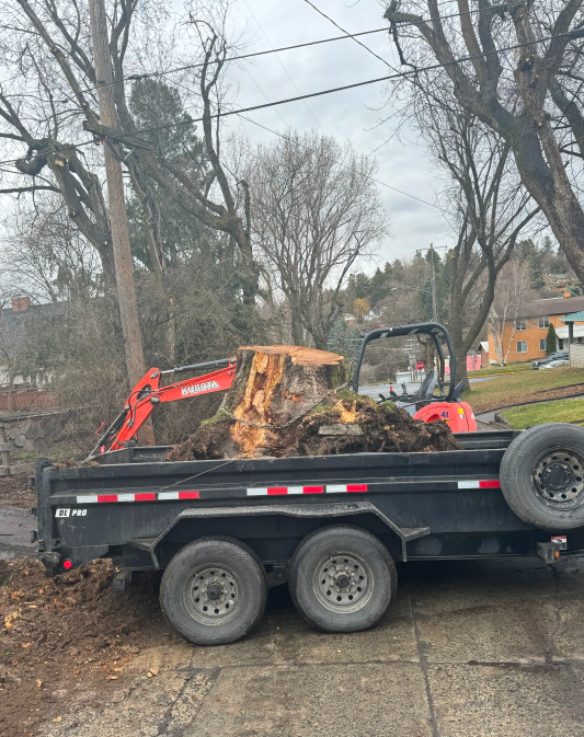 land clearing service