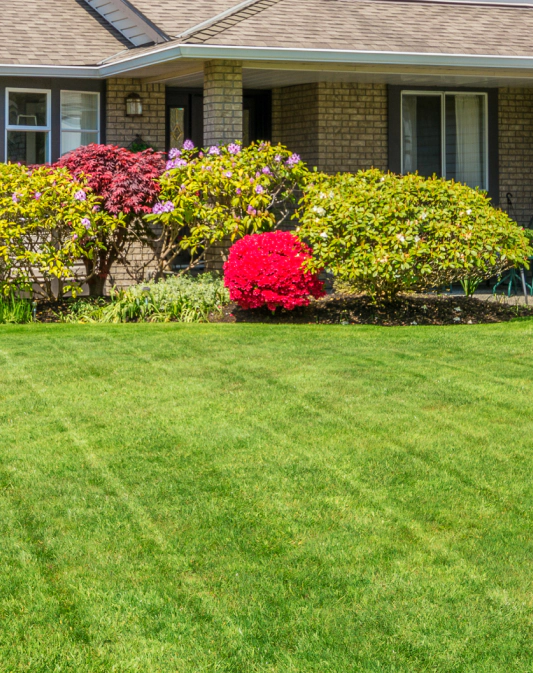 lawn mowing